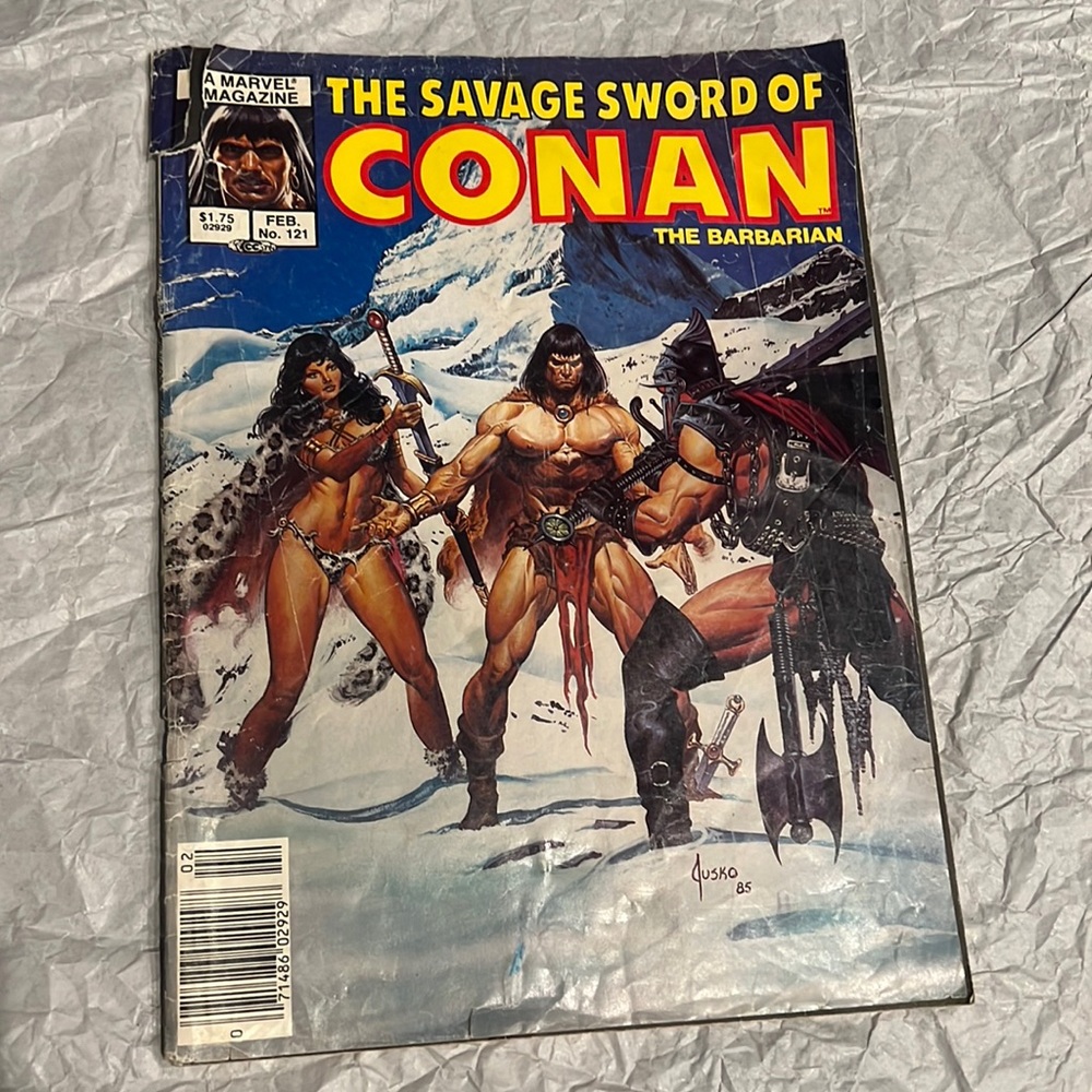 ⭐️5 for $15⭐️ The Savage Sword of Conan The Barbarian | Book